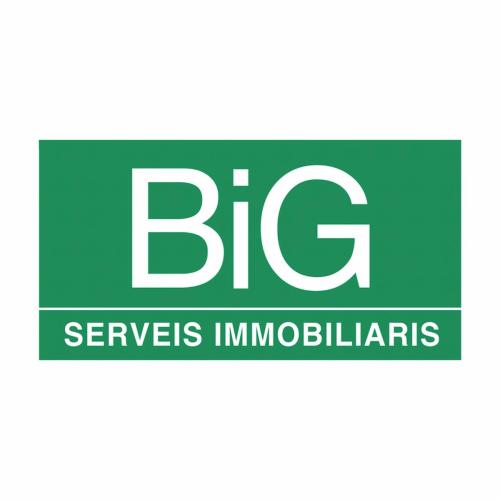 BIG IMMOBLES